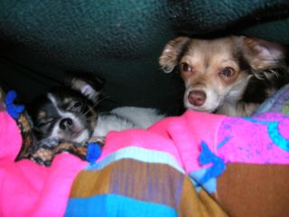 osiris1 profile photo