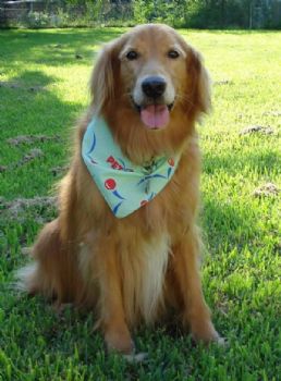 sherryk profile photo