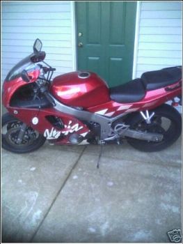 redj99 profile photo