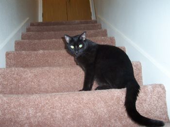 rlc092082 profile photo