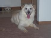 rlc092082 profile photo