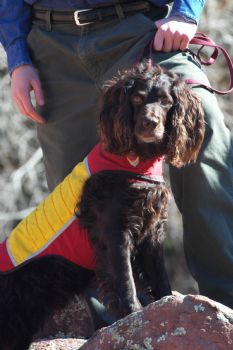 justinweihs profile photo