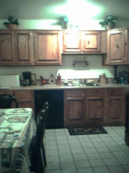 theadicts profile photo