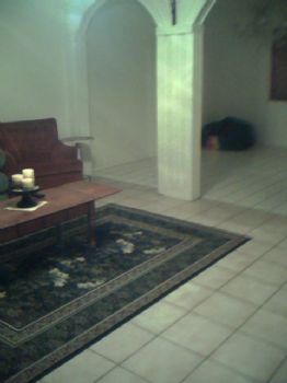 theadicts profile photo