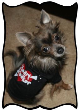 classyred profile photo