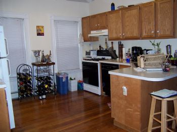 jester15cm profile photo