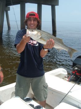 dsman7 profile photo