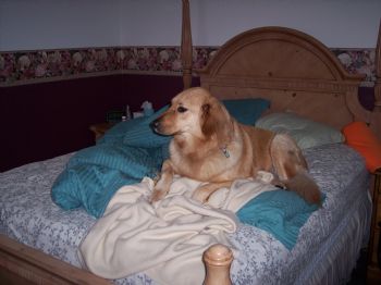 Ames00500 profile photo