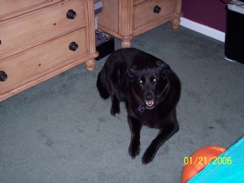 Ames00500 profile photo