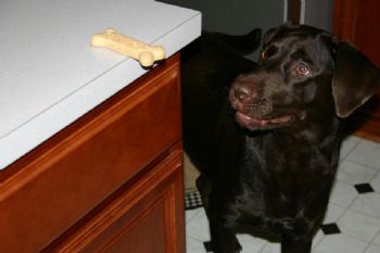 drc4069 profile photo