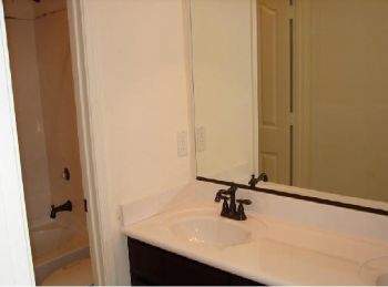 alithecpa profile photo