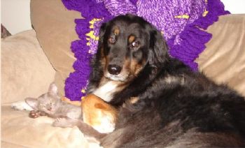 alithecpa profile photo