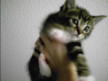 muffin85 profile photo