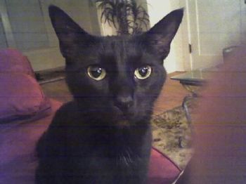 am131313 profile photo