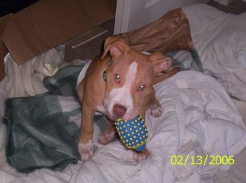 justinemast profile photo