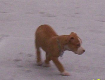 justinemast profile photo