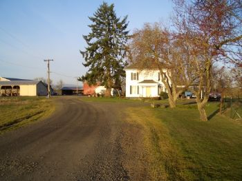 laysonw profile photo