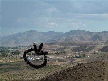 tall47male profile photo