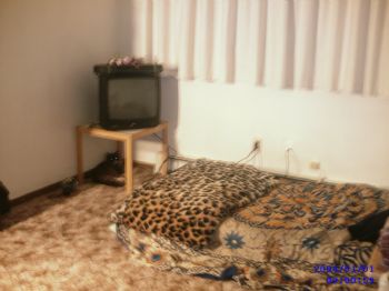 ShiriAK profile photo