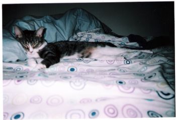 alm724 profile photo