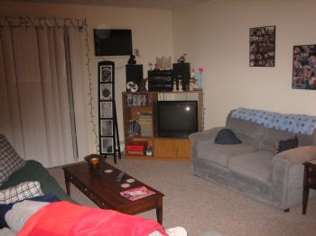 jens0cr profile photo