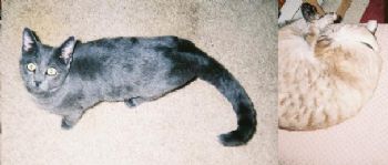 sr55432Yaho profile photo