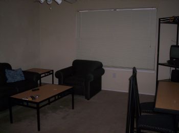 tallib profile photo