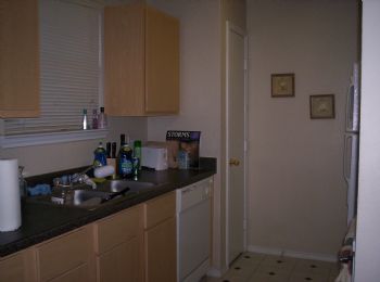 tallib profile photo