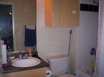 tallib profile photo