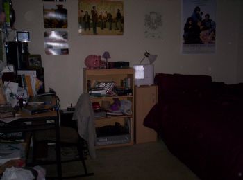 tallib profile photo