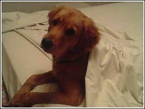 tcorlew profile photo