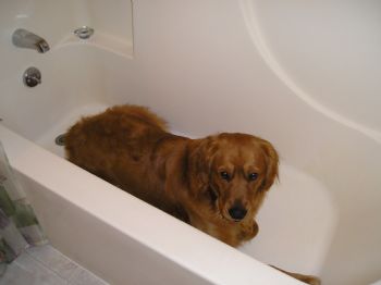 tcorlew profile photo