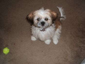 Michelle21 profile photo