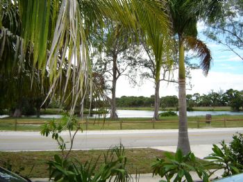 lydieR profile photo