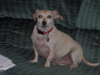 QuietAuthor profile photo