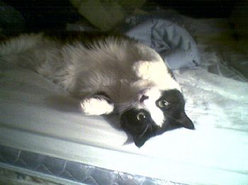 LadyPicies21 profile photo