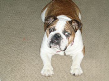 kmoorept profile photo