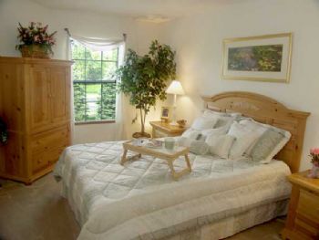 Julesyfc profile photo