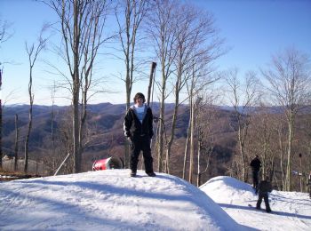 argoman2 profile photo