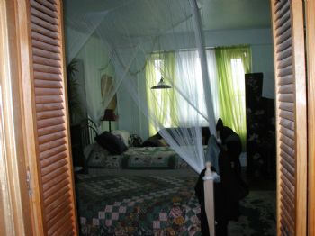 americana profile photo