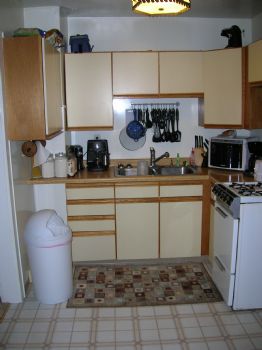 drkwingduck profile photo