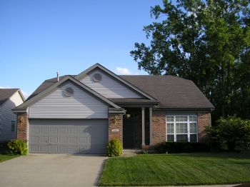 boxer1240 profile photo