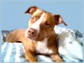 alysia76 profile photo
