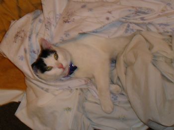 Joanna84 profile photo