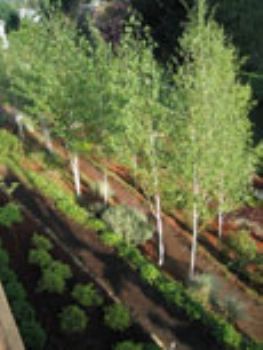 coopermt profile photo