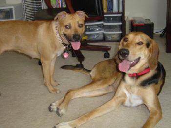 deltro5000 profile photo