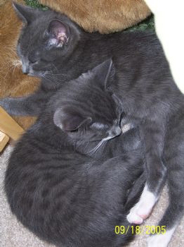 LeeLee506 profile photo