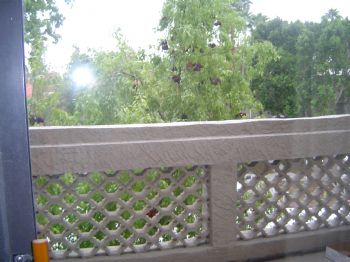 LisaRae03 profile photo