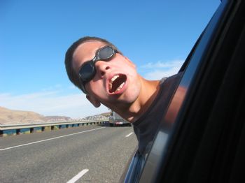 stewdog2 profile photo