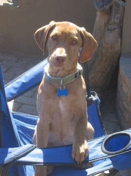 jmergy profile photo